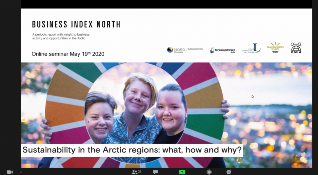 международный онлайн-семинар по проекту Business Index North (BIN) «SUSTAINABLE DEVELOPMENT IN THE ARCTIC: WHAT, HOW AND WHY?» («Устойчивое развитие Арктики: что, как и почему?»)