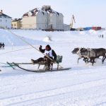 Заседание Экспертного совета Проектного офиса развития Арктики