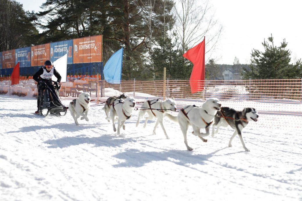 Чемпионат и Первенство России по снежным дисциплинам ездового спорта