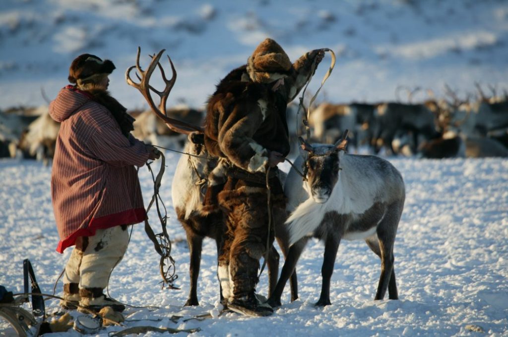 Заседание Экспертного совета Проектного офиса развития Арктики, посвященное проблемам хозяйственной деятельности коренного населения народов Севера на территориях своего проживания