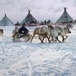 Заседание Экспертного совета Проектного офиса развития Арктики, посвященное проблемам хозяйственной деятельности коренного населения народов Севера на территориях своего проживания