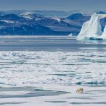 Семинар Рабочей группы по устранению загрязнений в Арктике (ACAP) Арктического совета - по черному углероду и метану
