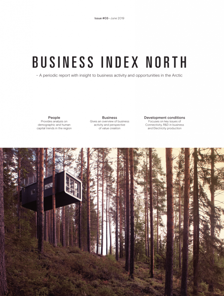 Совещание партнёров проекта Business Index North (BIN) в формате ВКС